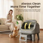 The Self-Cleaning Litter Box