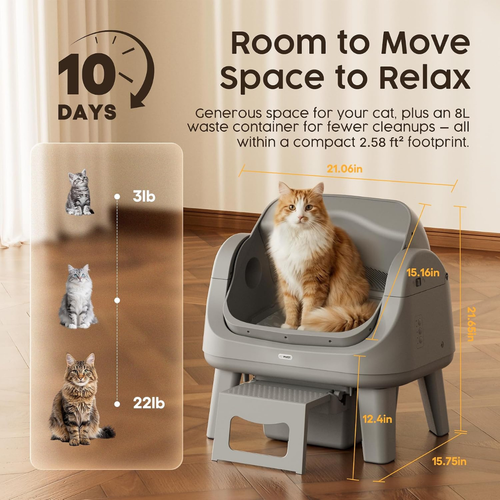 The Self-Cleaning Litter Box