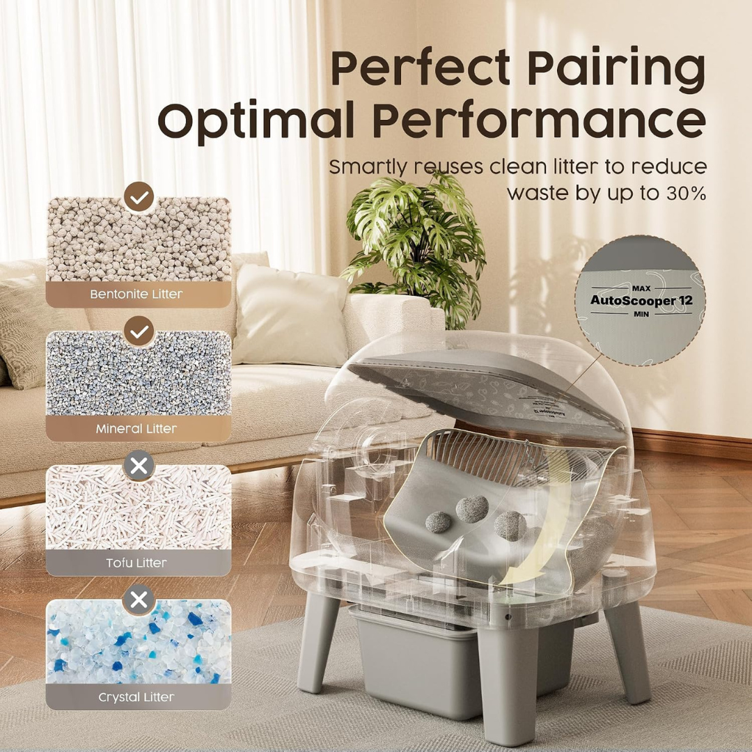 The Self-Cleaning Litter Box